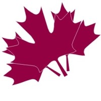 Strategic Tax & Business Solutions Inc logo - Similar company to X
