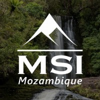 MSI Mozambique logo - Similar company to Mineral Solutions (Msl) Ltd