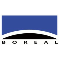 Boreal 3D logo - Similar company to Styleya