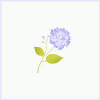 Inge logo - Similar company to Earth