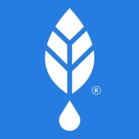 Bold Botanica logo - Similar company to Market Acceleration Group