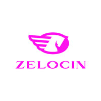ZELOCIN & Partners LLC logo - Similar company to Dragon Trakker