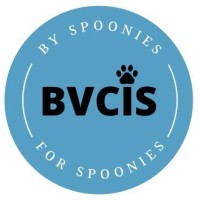 British Veterinary Chronic Illness Support (BVCIS) logo - Similar company to Affinity Futures
