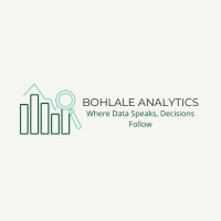 Bohlale Analytics logo - Similar company to Analytica Research Hub