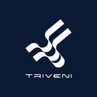 Holding Triveni Brasil logo - Similar company to Rocket Logistics