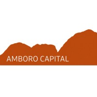Amboro Capital logo - Similar company to Accelopment