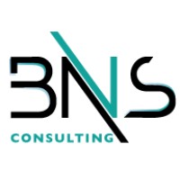 BNS Consulting logo - Similar company to Bns Technology Solutions Lllp
