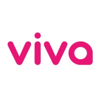 Viva Multicultural logo - Similar company to 3D Value Group