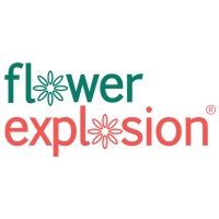Flower Explosion logo - Similar company to Report Genius