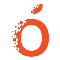 OrangeBits logo - Similar company to Orangebits Digital Solutions Private Limited