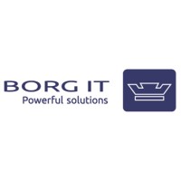 BORG IT logo - Similar company to Qknives