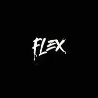 FLEX PROD logo - Similar company to Adjan Formation