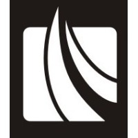 Bison Square Capital, LLC logo - Similar company to High Water Strategies