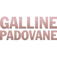 Galline Padovane - blog locale logo - Similar company to Advu - Digital Agency Padova