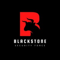Blackstone Security Force logo - Similar company to Blackstone Cyber Security