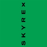 Skyrex logo - Similar company to Skytex Logistic Sl