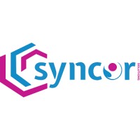 SyncorSolutions logo - Similar company to Elios Technologies Inc