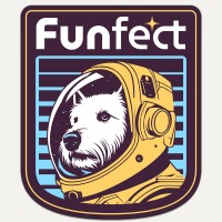 Funfect logo - Similar company to Bad Idea Studios