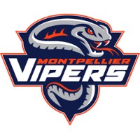 Vipers Montpellier - Métropole Hockey Club logo - Similar company to 3Mtkd Sport Culture Social