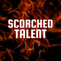 Scorched Talent logo - Similar company to Brickdata
