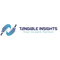 Tangible Insights logo - Similar company to Systema Hr