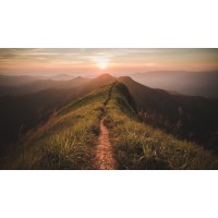 Always Drive Progress logo - Similar company to Effect Talent Management