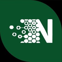Nextel IT logo - Similar company to Nextel Systems Ltd