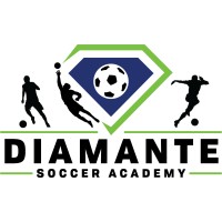 Diamante Soccer Academy logo - Similar company to Twelfth Soccer Academy