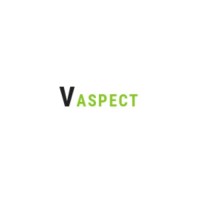 Vaspect Virtual Assistant logo - Similar company to Hire A Virtual Assistant