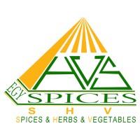EGYSPICES CO. FOR IMP&EXP logo - Similar company to Odrin