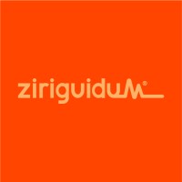 Ziriguidum logo - Similar company to Smart - A Ticket To Innovation