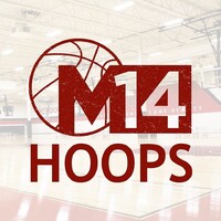 M14Hoops logo - Similar company to Emme
