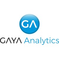 GAYA Analytics logo - Similar company to Nikktech