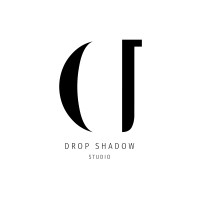 Drop Shadow Studio logo - Similar company to Odd Art India
