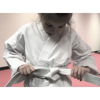 Southeast Karate LLC logo - Similar company to Cory'S Karate, Llc