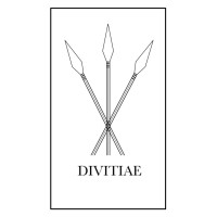 DIVITIAE logo - Similar company to Kf Finance