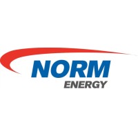 Jiangsu Norm Energy Service logo - Similar company to 