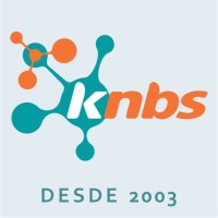 KNBS - Knowledge Networks & Business Solutions logo - Similar company to Knowledge Networks