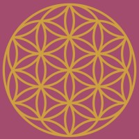 Vayu AI Automation logo - Similar company to Vayuai Corp.