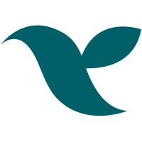 jadduu logo - Similar company to Minoobox