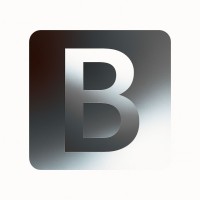 BPO IT SERVICES logo - Similar company to Hurmaio