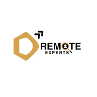 D Remote Experts logo - Similar company to Sly Fox Systems, Llc