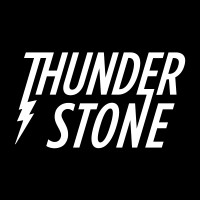 Thunderstone logo - Similar company to The Second Life