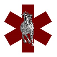 Mustang Safety Services Ltd. logo - Similar company to Infinity Industrial Safety Services Ltd