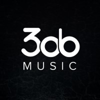 3db Music logo - Similar company to Supaflr