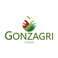 Grupo Gonzagri logo - Similar company to H Export