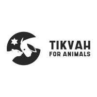 Tikvah For Animals logo - Similar company to Violet Studios