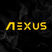 Nexus SMM logo - Similar company to Bbvfx B.V.