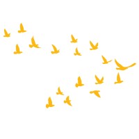 Wingspan Strategy & Coaching logo - Similar company to Designedengagement, Pbc