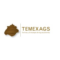 TEMEX AGS Tarimas y embalajes de Aguascalientes logo - Similar company to Electro Edificaciones Iemsa